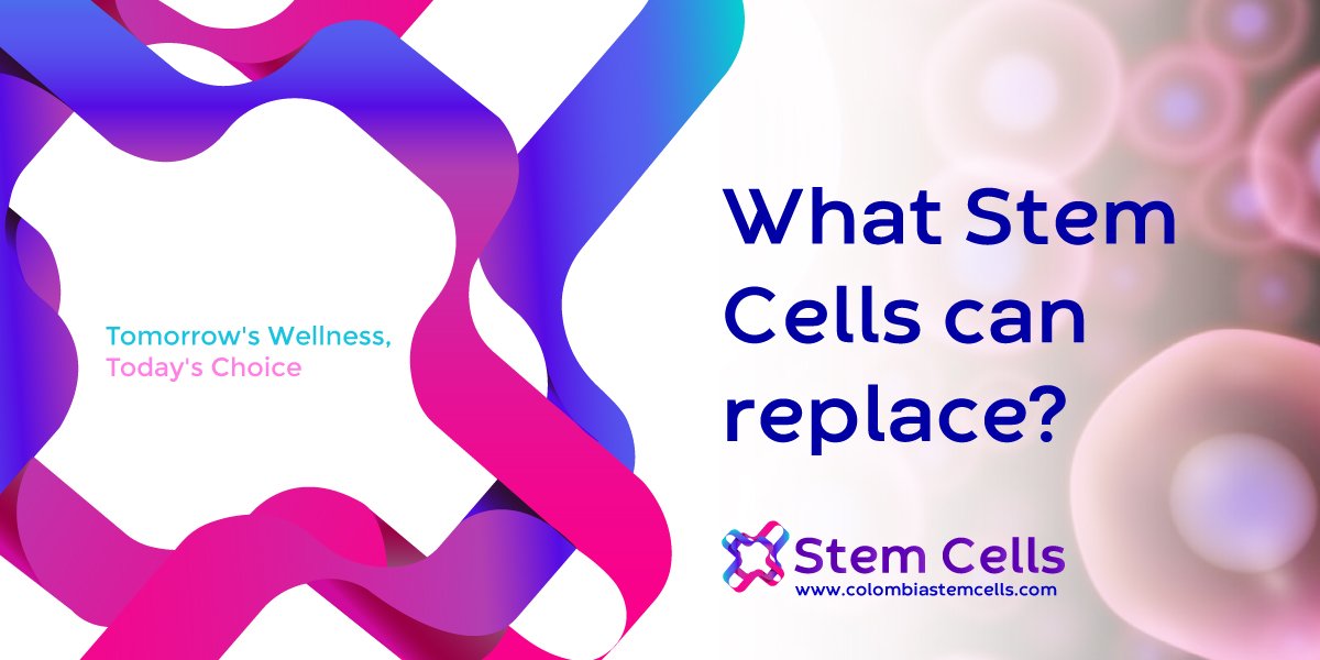 What Stem Cells can replace? - StemCells Colombia | Cell Transplat ...